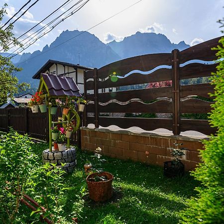 Casa Ramino Hotel Busteni Bagian luar foto
